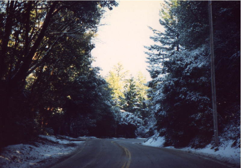 35 North in December
          1988