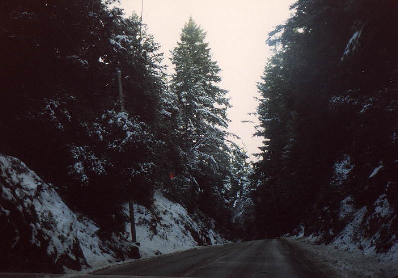 9 North in December 1988